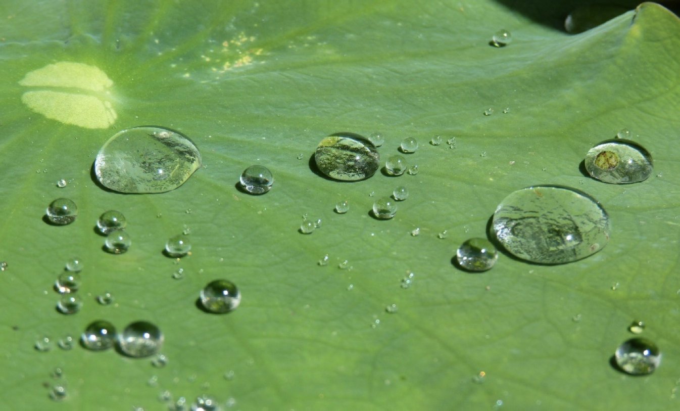 水性疏水剂在水性树脂、涂料中能用吗